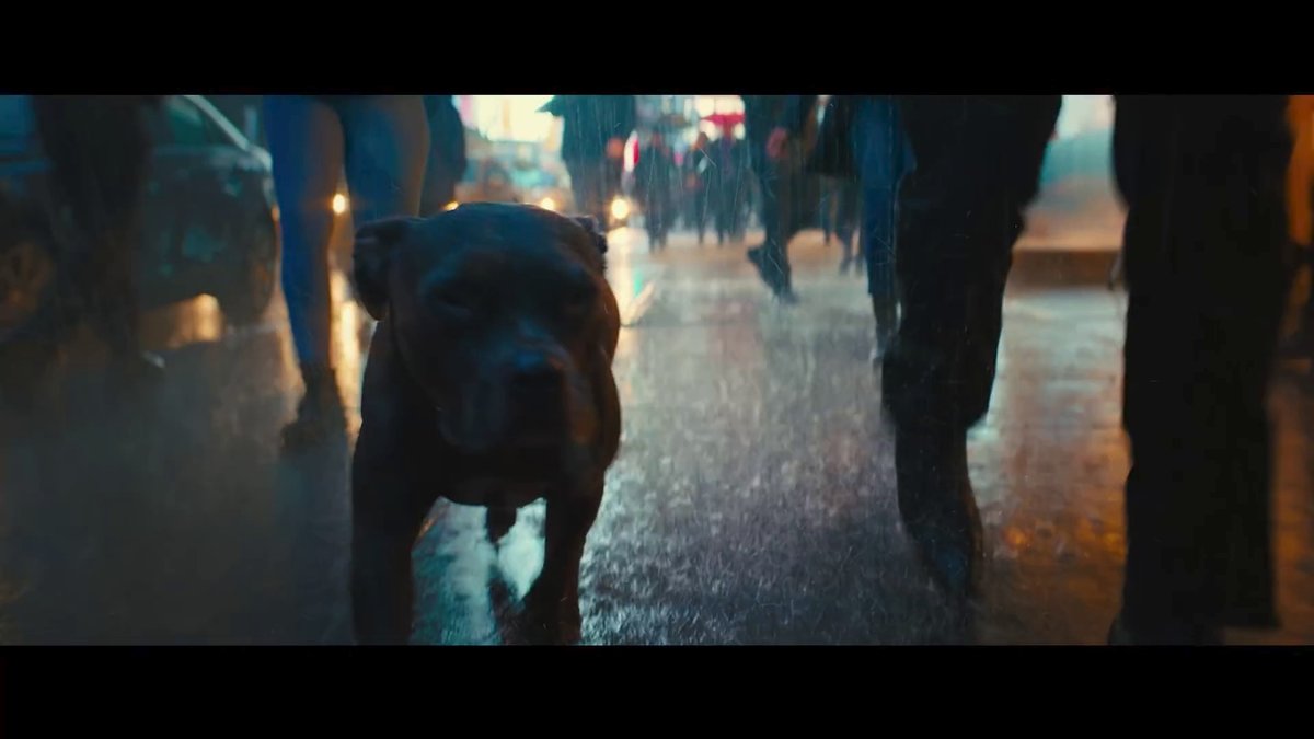 Záběry z traileru na akční film John Wick 3.