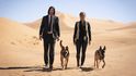 John Wick 3 – Již třetí kapitola akčního fenoménu o zabijákovi, který se mstí podsvětí za vraždu svého pejska. John Wick 3 – Již třetí kapitola akčního fenoménu o zabijákovi, který se mstí podsvětí za vraždu svého pejska.