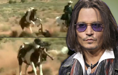 Johnny Depp blízko smrti: Málem ho ušlapal kůň, který ho shodil ze sedla!