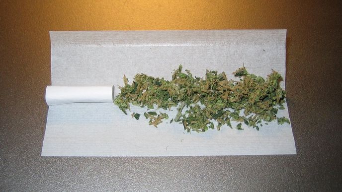 joint joint