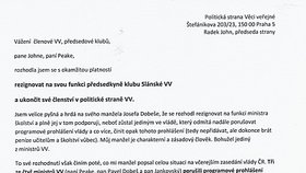 Prohlášení Lucie Dobešové, manželky odstupujícího ministra školství