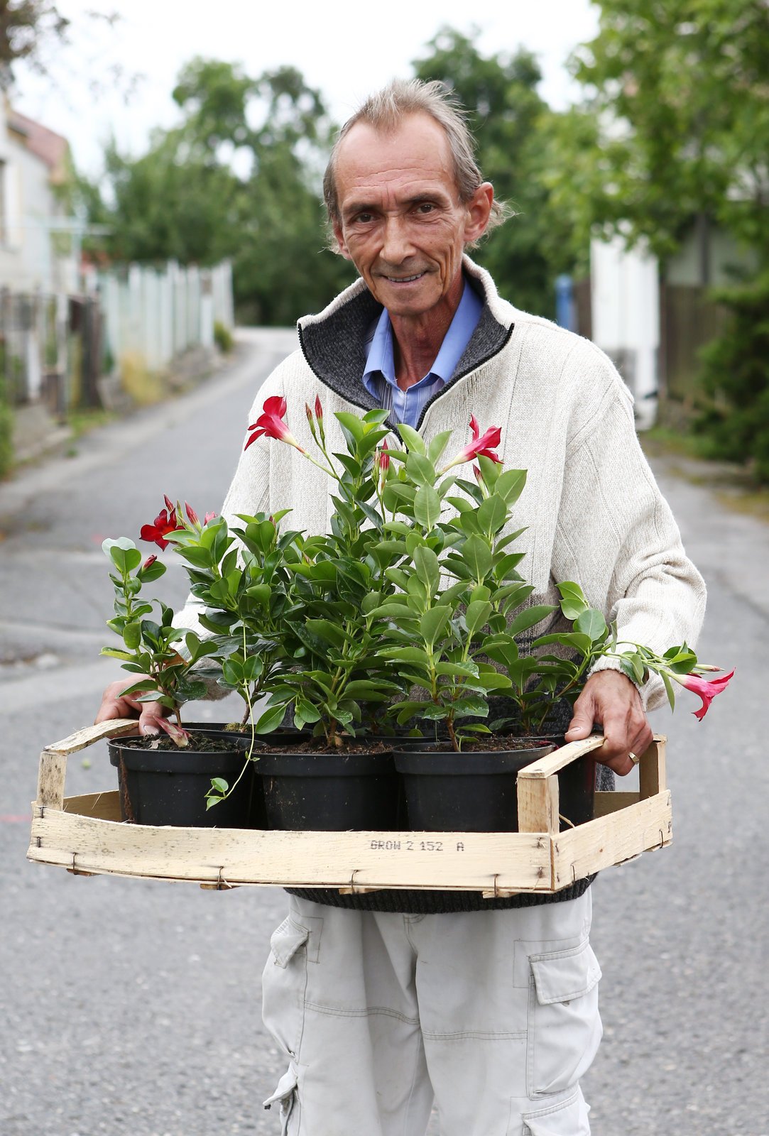 Vladimír Poláček