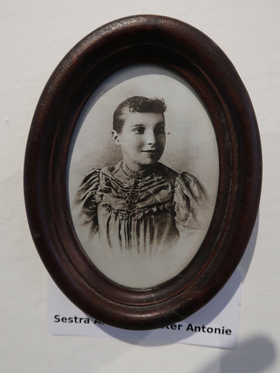 Antonie Ladová, sestra Josefa Lady
