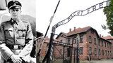 Mengele vyoperoval Židovi ledvinu bez umrtvení: Muž Osvětim nakonec přežil