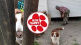 Nelly měla být v bezpečí, skončila ale mrtvá na dvoře