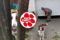 Nelly měla být v bezpečí, skončila ale mrtvá na dvoře