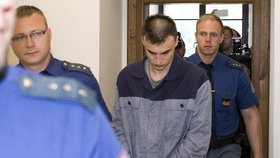 Josef Novák srazil autem policistku, za vraždu dostal 16,5 roku vězení.