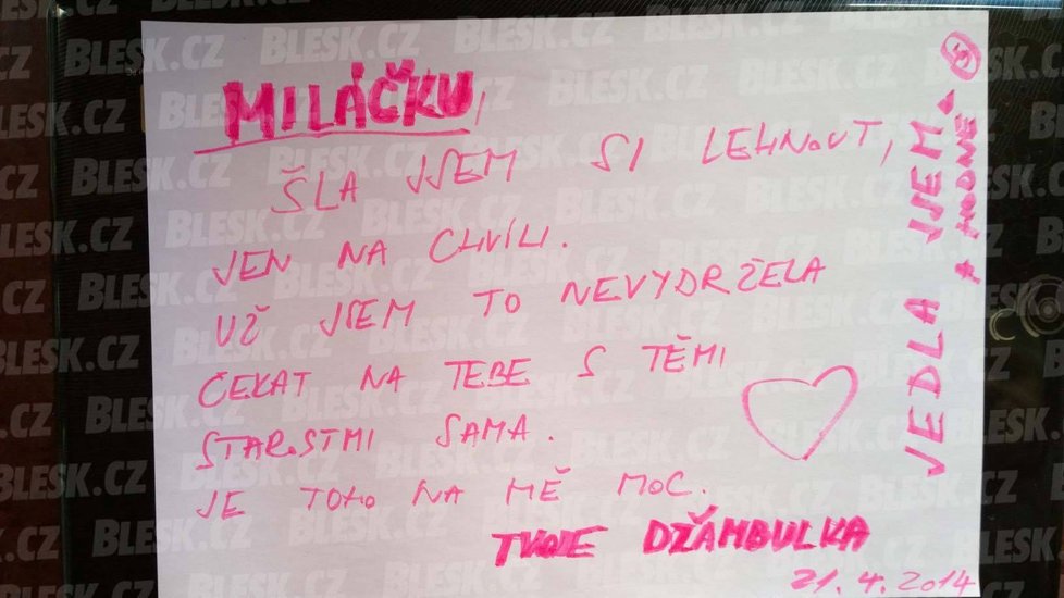 Miláčku, šla jsem si lehnout, jen na chvíli. Už jsem to nevydržela čekat na tebe s těmi starostmi sama. Je toho na mě moc. Tvoje Džambulka. P. S. Jedla jsem. A hodně.