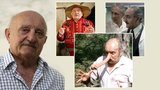 Jak dobře znáte filmy, ve kterých zazářil Josef Somr (†88)? Zkuste náš kvíz!