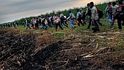 Jsou čtyři ráno, muži nastupují na plantáž. Většina z nich tu stráví celé roky života, s podlomeným zdravím a mizivou nadějí na důchod.