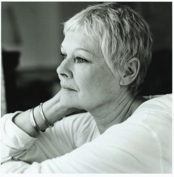 Judi Dench bude hvězdou 46. ročníku karlovarského festivalu