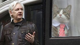Julian Assange si na ambasádě neuklízí po své kočce a Ekvádoru to vadí.
