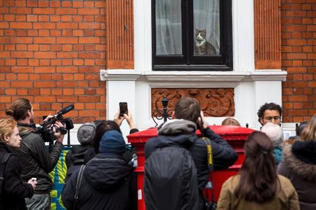 Kočka Juliana Assangeho je často v pozornosti médií.