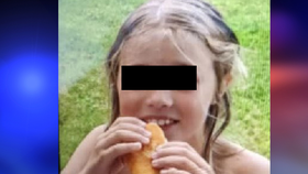 Pohřešovaná německá dívka Julia Sleegerseová (8), je v pořádku! Našli ji po třech dnech nedaleko České Kubice.