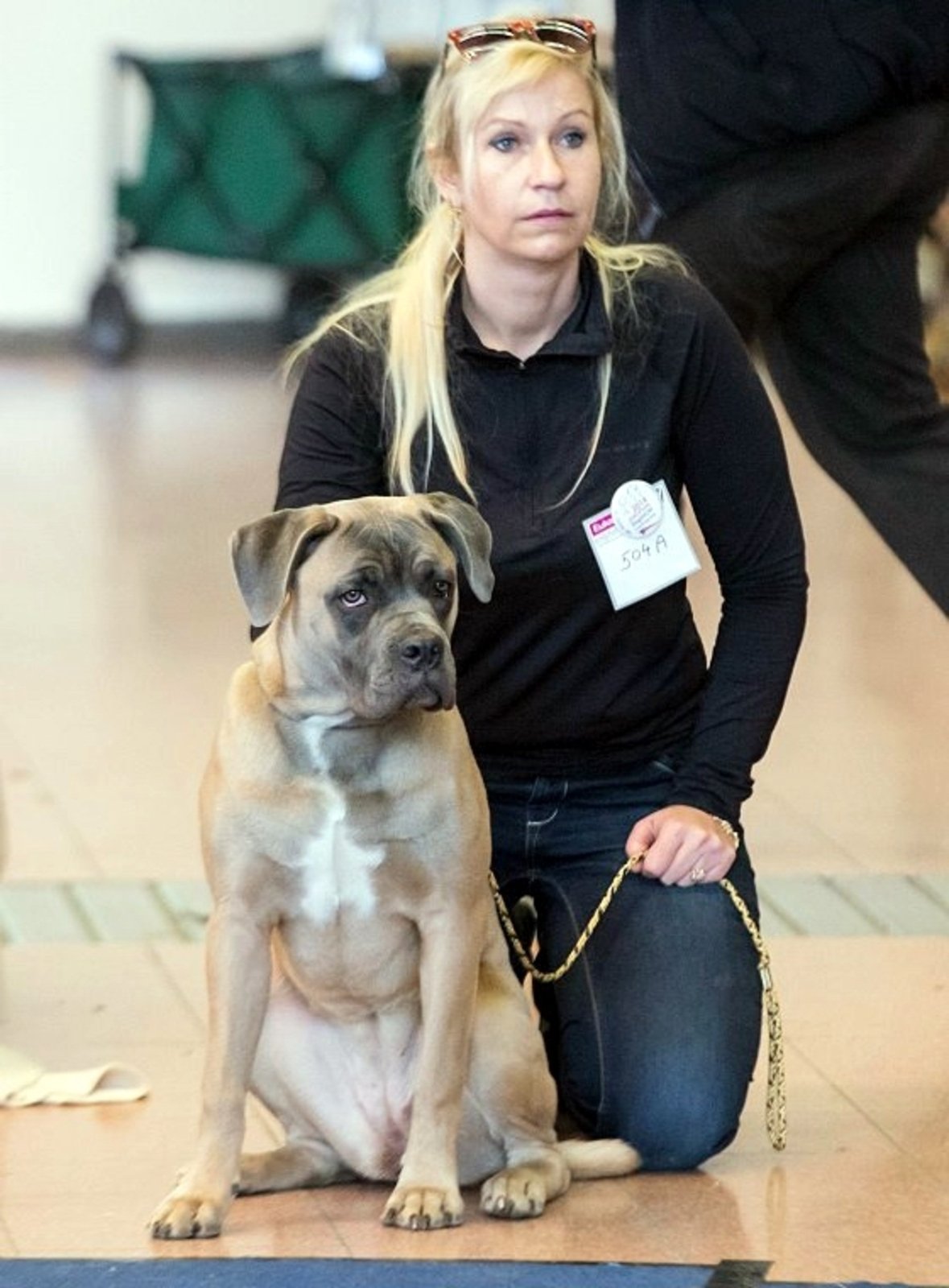 Edita Jelínková vyhrávala s fenkou Juliette Miss Mallorca zahraniční soutěže. V neděli dopoledne jí někdo psa v Radosticích u Brna ukradl!