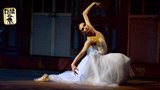 Primabalerína Machalinová na Plesu v Opeře: Zatančí Umírající labuť