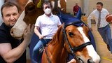Hamáček na koni, Jurečka s krávou a Rakušan s balonem. Politici zkouší trefit přízeň voličů
