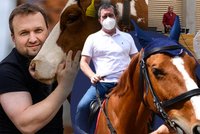 Hamáček na koni, Jurečka s krávou a Rakušan s balonem. Politici zkouší trefit přízeň voličů