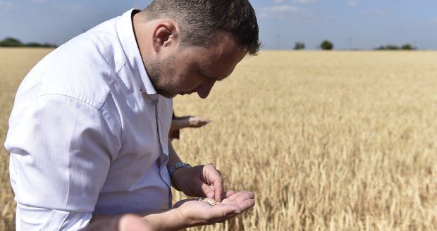 Jurečka je pro spojení ministerstev. Ekology děsí, že to pomůže velkým agrofirmám