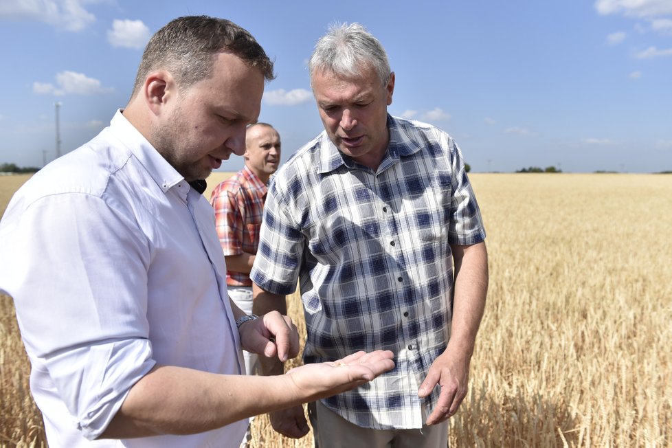 Sucho se zemědělci už řešil ministr zemědělství Marian Jurečka (KDU-ČSL).