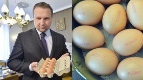 Ministr zemědělství Marian Jurečka (KDU-ČSL) a česká vejce