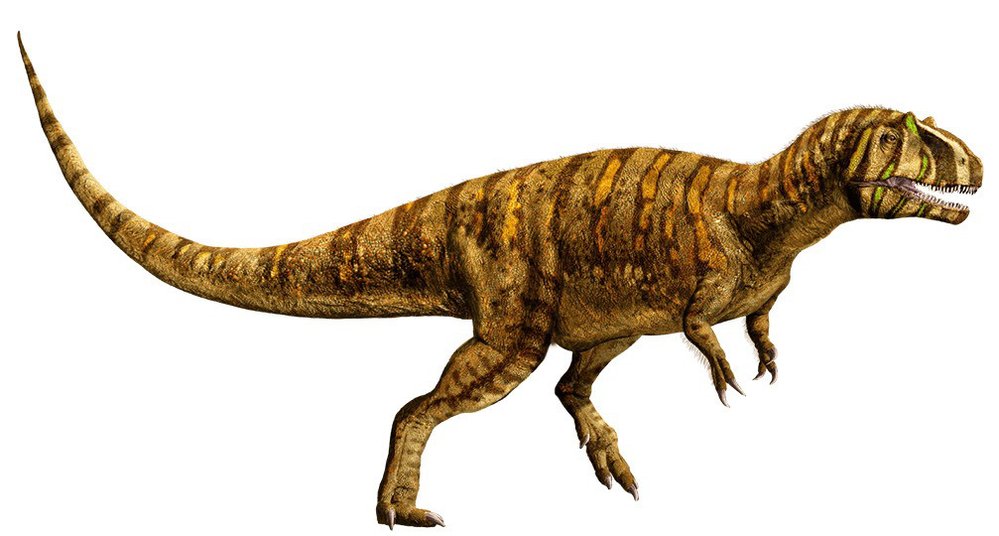 Metriacanthosaurus