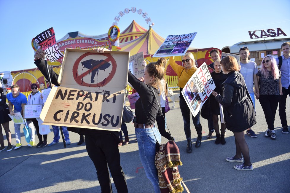 Před dvěma týdny zhruba stovka lidí demonstrovala u vchodu do cirkusu Berousek na pražské Letenské pláni
