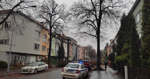 V Krkoškově ulici v Brně vykáceli kvůli rekonstrukci vodovodu asi 60 stromů. Bylo přitom nutné přesunout i několik aut.