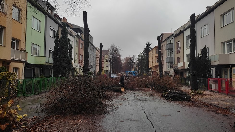 V Krkoškově ulici v Brně vykáceli kvůli rekonstrukci vodovodu asi 60 stromů. Bylo přitom nutné přesunout i několik aut.