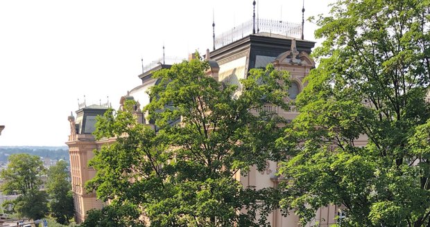 V pátek odpoledne došlo ke kácení dvou vzrostlých stromů na obecním pozemku v ulici Na Smetance nedaleko magistrály. Místní obyvatelé s postupem radnice Prahy 2  nesouhlasí a sepisují petici.