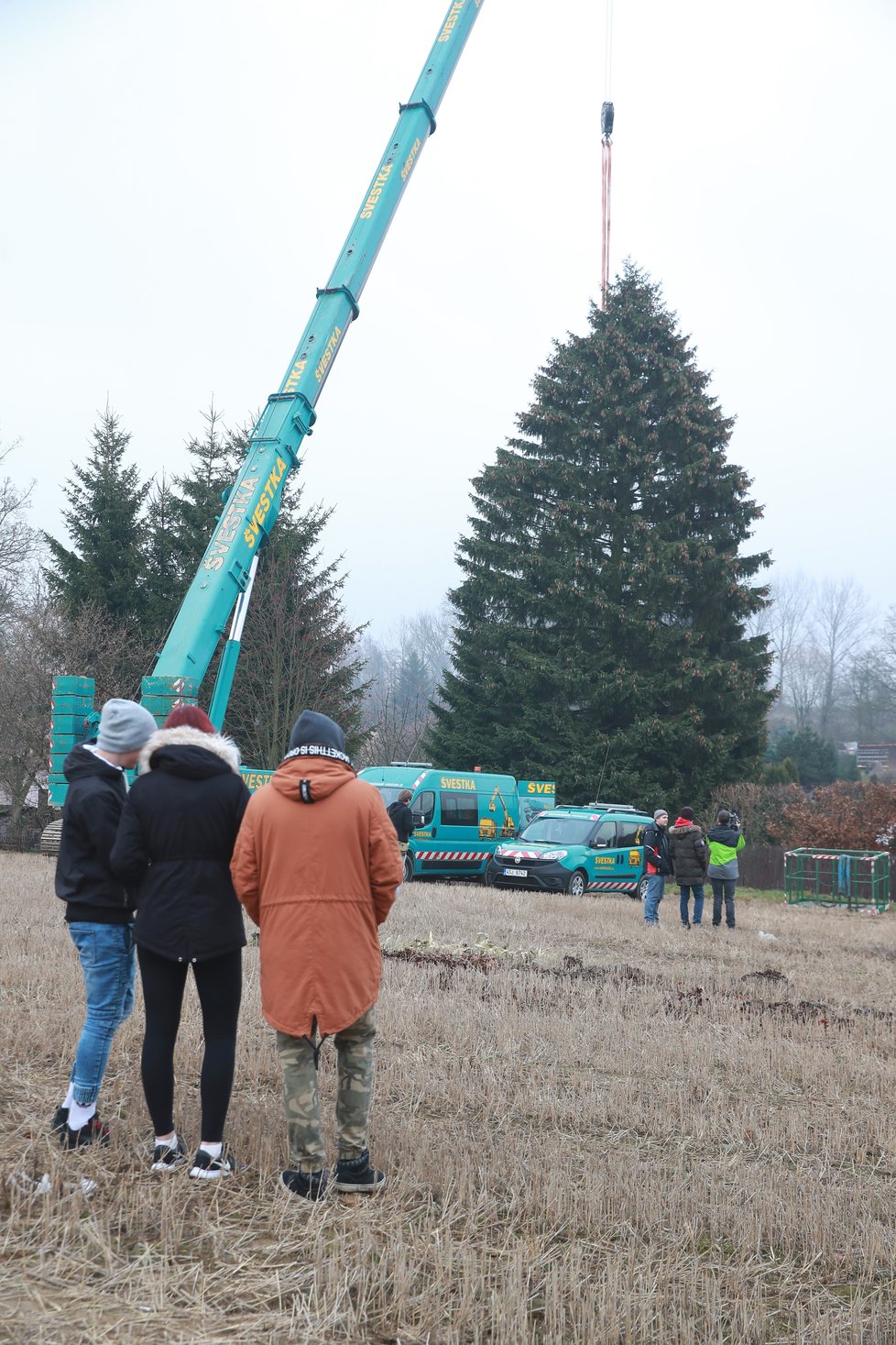 Vánoční strom měří zhruba 22 metrů.