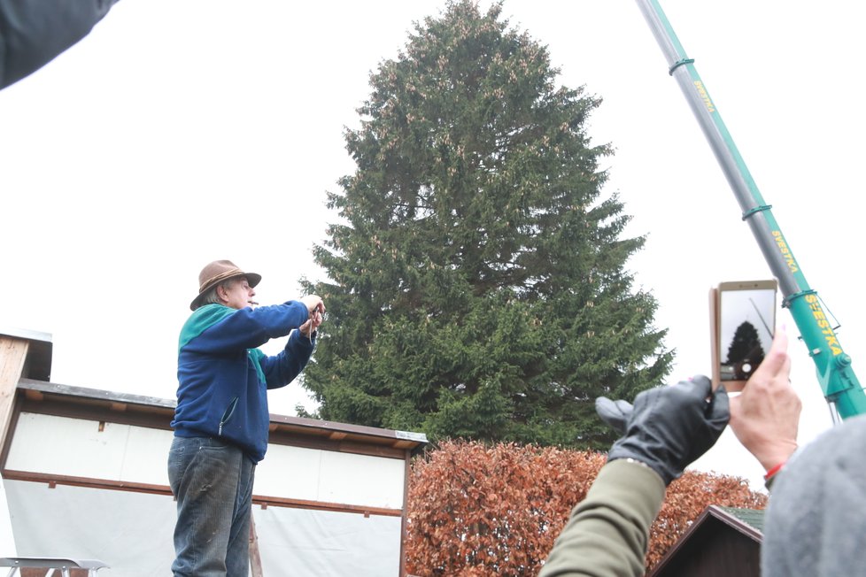 Takto probíhalo kácení vánočního stromu pro Staroměstské náměstí. Tentokrát strom pochází z neveliké vesnice Rynoltice na Liberecku.