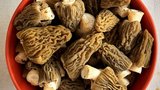 Houbaři, na značky: Delikátní kačenku z lesa přinesl i ředitel zoo Bobek! Kde hledat?