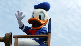 Skřehotavý Kačer Donald patří k nejpopulárnějším postavičkám světa kreslených filmů.