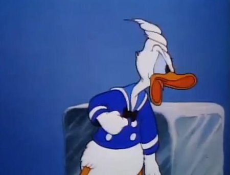 Kačer Donald je mezi zvířátky z Disneyho souboru zdaleka největší vztekloun.