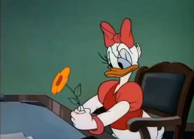 Donaldova drahá kachní polovička se jmenuje Daisy.
