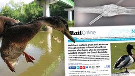 O plzeňském kačerovi se šipkou v hlavě píše i britský Daily Mail.