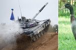 Polská kachna zabránila americké raketě zničit sovětský tank