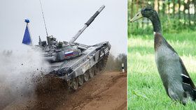 Polská kachna zabránila americké raketě zničit sovětský tank