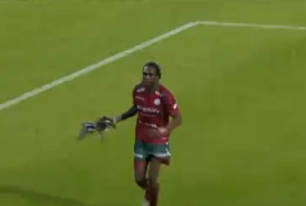 Fotbalista Mahamadou Habib Habibou zahodil kachnu, která přerušila zápas. Fotbalista Mahamadou Habib Habibou zahodil kachnu, která přerušila zápas.