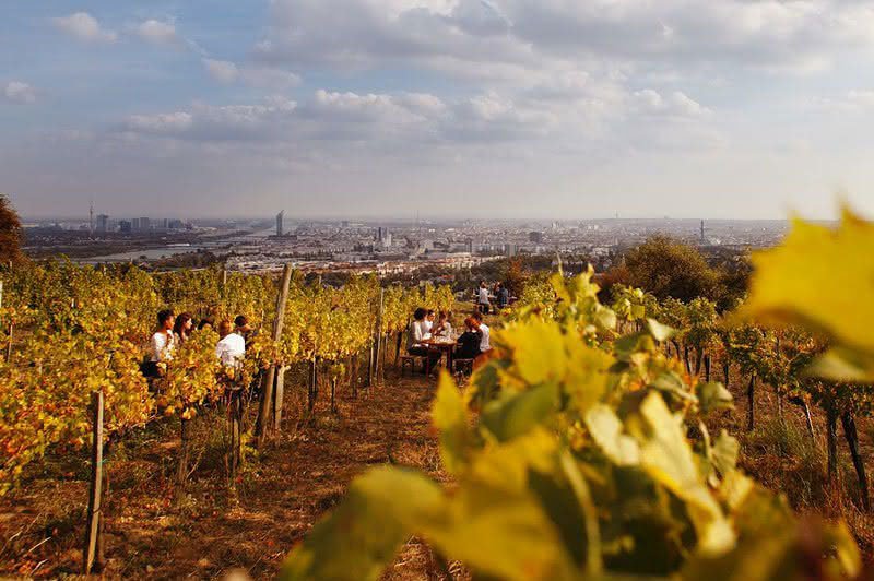 Kahlenberg