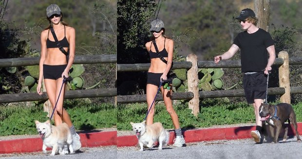 Tělo má jeden sval a šlachu.