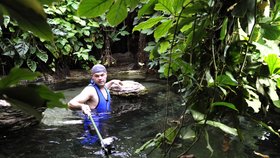 V zoologické zahradě ve Dvoře Králové nad Labem v pavilonu Vodní svět prováděl 30. ledna Martin Smrček odchyt třech dospělých kajmanů hladkočelých.