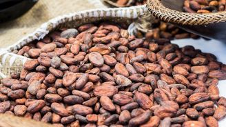 Kakaová válka. Západoafrické státy obviňují výrobce čokolády, že okrádají jejich farmáře