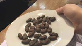 Takhle vypadají kakaové boby, ze kterých se eventuálně stane čokoláda. 