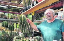 Josef Horňák (63) z Buchlovic má 55 let koníčka: Ze zedníka kaktusářem