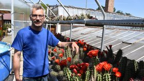 Vzácná sbírka kaktusů bojuje o přežití: Otakar nemá desetitisíce na provoz