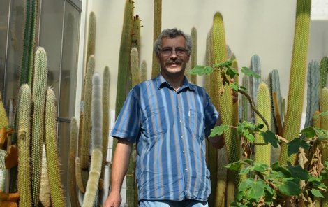 Otakar Potyka měří 182 centimetrů, jeho nejvyšší kaktusy mají před dva a půl metru.