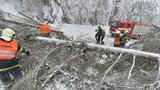 Tuny sněhu poničily vedení, ČEZ hlásí na severu škody za miliony. Lidé už mohou zase svítit 