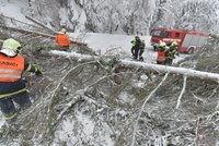 Tuny sněhu poničily vedení, ČEZ hlásí na severu škody za miliony. Lidé už mohou zase svítit